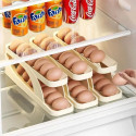 Egg Storage 
