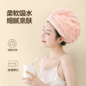 Quick Hair Drying Towel (১ পিচ) 