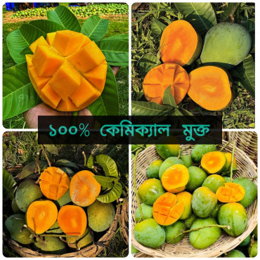30 কেজি গোবিন্দভোগ আম 140 টাকা করে 4200 টাকা