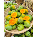10 কেজি গোবিন্দভোগ আম