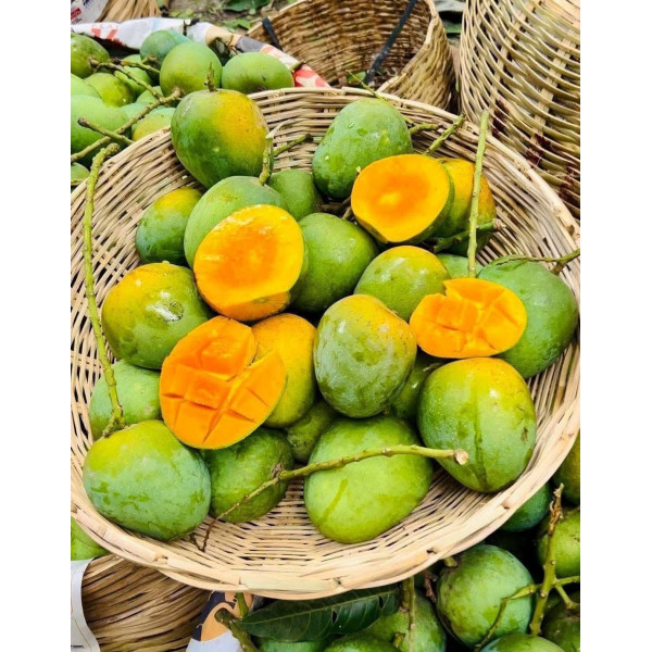 10 কেজি গোবিন্দভোগ আম
