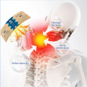Pain Relief Patch ১ প্যাক ( ৭ পিস )