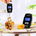 Portable Hanging Scale ( ১ পিছ )