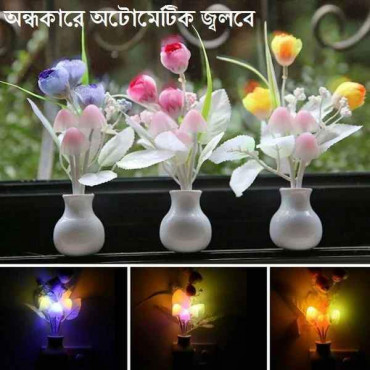 Beautiful Deam light
