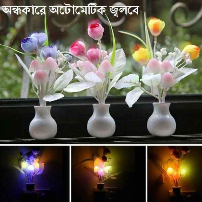 Beautiful Deam light