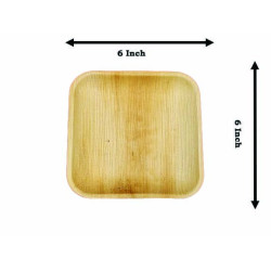 6 in Square Plate  - 6 Pcs
