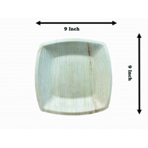 9 Inch Quad Square P...