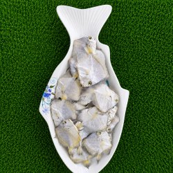 ছোট রুপচাঁদা শুটকি