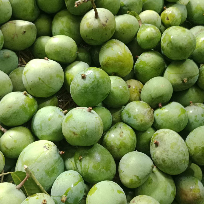 রাজশাহীর বিখ্যাত গোপালভোগ আম