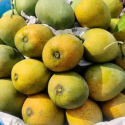 চাঁপাইনবাবগঞ্জের গোপালভোগ আম