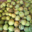 হাড়িভাঙ্গা আম