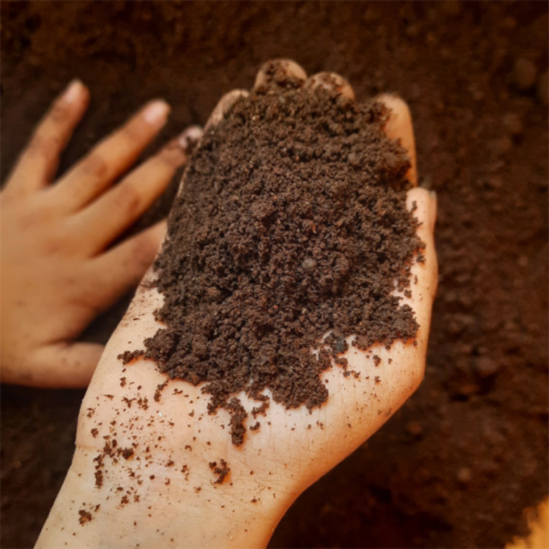 Vermicompost (কেঁচো সার)
