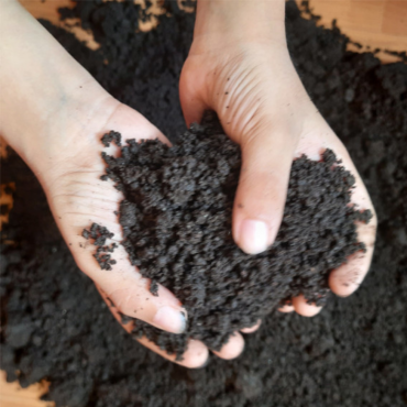 Trichocompost (অনুজীব সার)