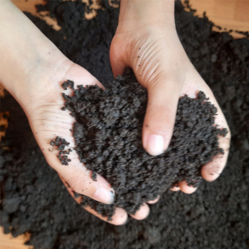 Trichocompost (অনুজীব সার)
