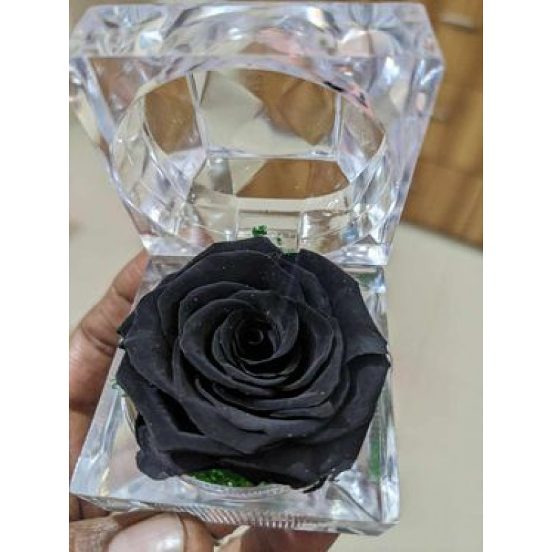 রিয়েল কালো প্রিজার্ভ গোলাপ ছোট সাইজ(A Grade)