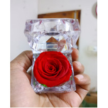 রিয়েল লাল প্রিজার্ভ ...