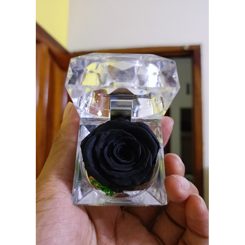 রিয়েল কালো প্রিজার্ভ গোলাপ ছোট সাইজ(A Grade)