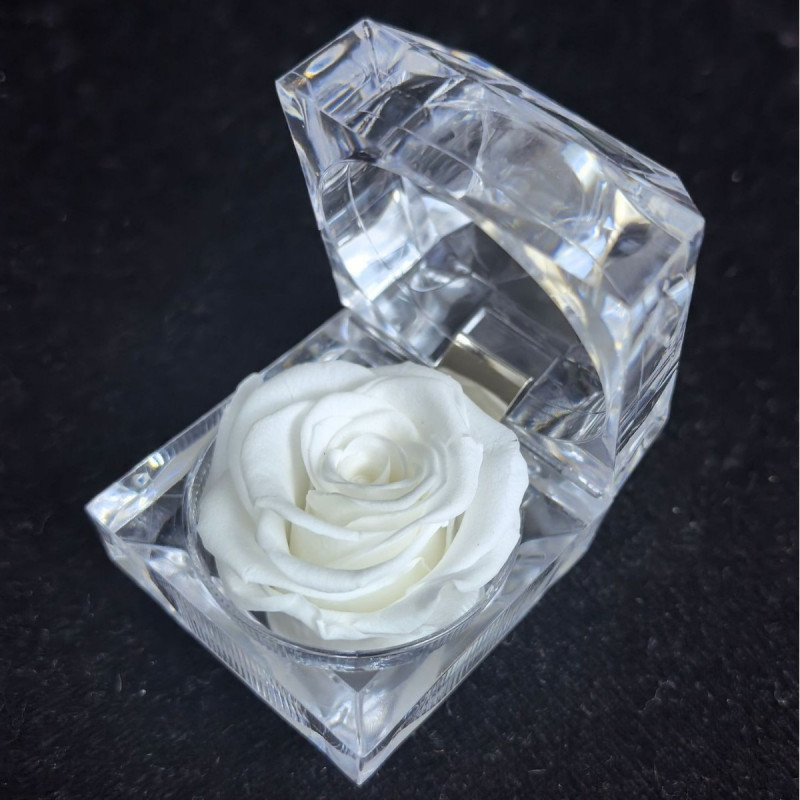 100% লাভ কম্ব। Small Rose Combo