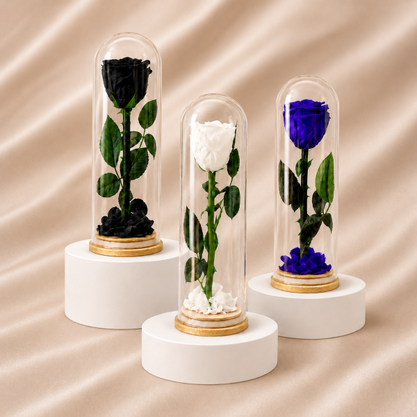 Real Natural Rose Preserved Stick Glass Tube