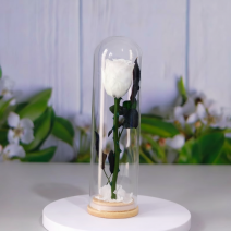 Real Natural Rose Pr...