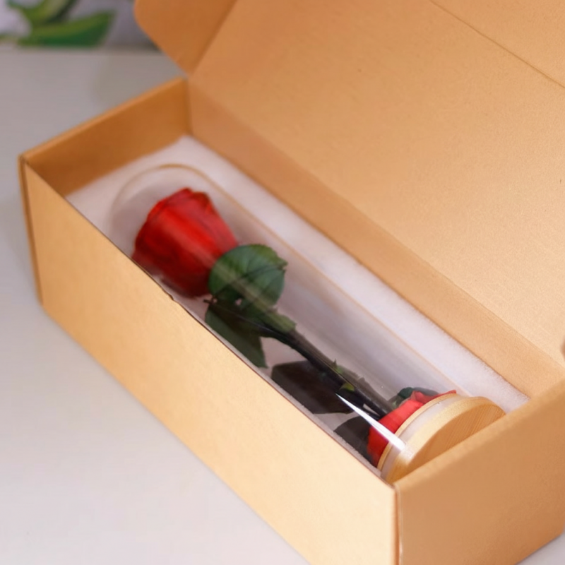 Real Natural Rose Preserved Stick Glass Tube