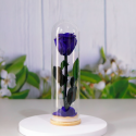 Real Natural Rose Preserved Stick Glass Tube