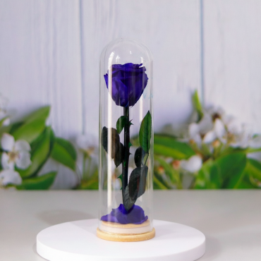 Real Natural Rose Preserved Stick Glass Tube