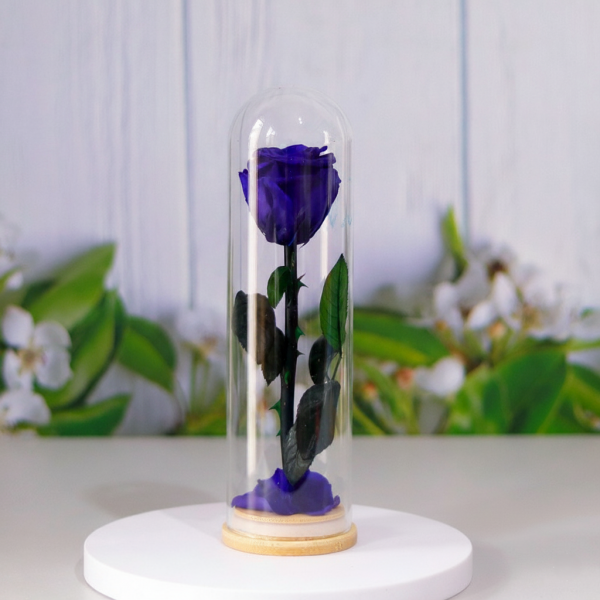Real Natural Rose Preserved Stick Glass Tube