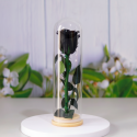 Real Natural Rose Preserved Stick Glass Tube
