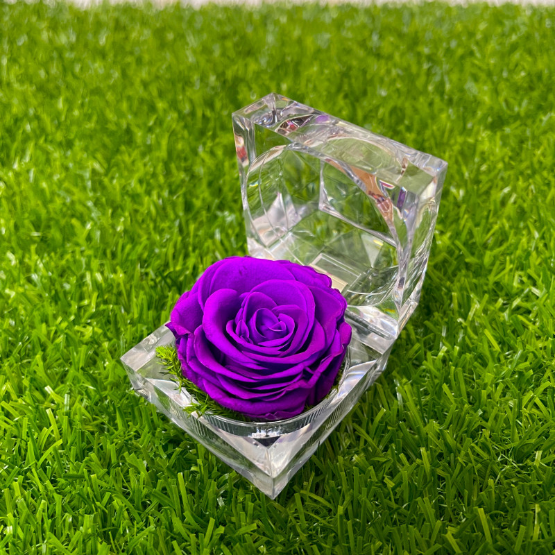 100% লাভ কম্ব। Small Rose Combo