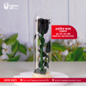 Real Natural Rose Preserved Stick Glass Tube