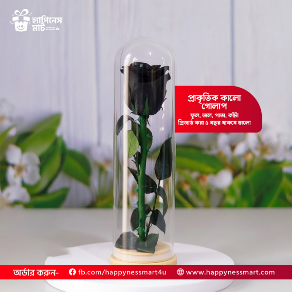 Real Natural Rose Preserved Stick Glass Tube