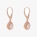 Anne Klein Earrings