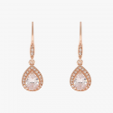 Anne Klein Earrings