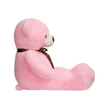 iBonny Teddy Bear...