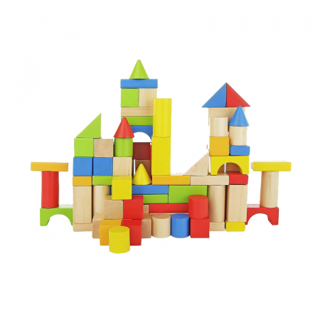100 Piece Wooden Blo...