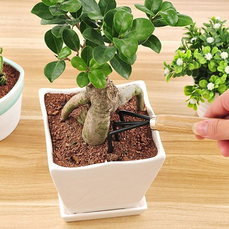 3 Piece Mini Gardening Tools Set