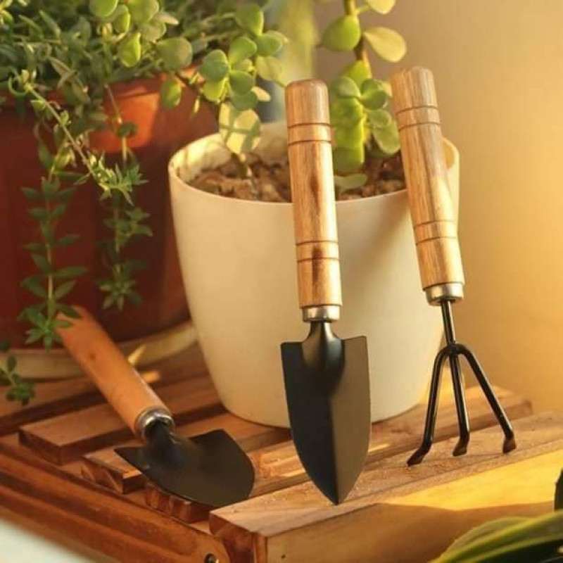 3 Piece Mini Gardening Tools Set