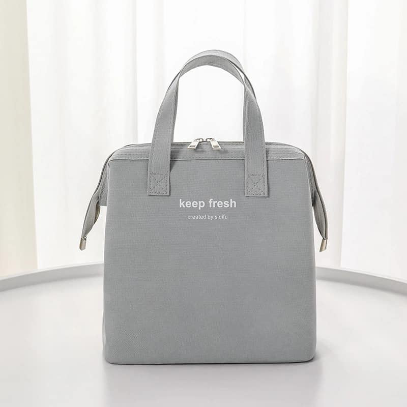 Portable Insulated Lunch Bag