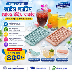 33 grids ice maker( 4 pcs)