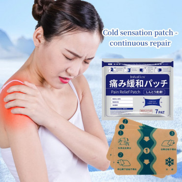 Japanese Pain Relief Patch (২ প্যাকেট ১৪ পিস )