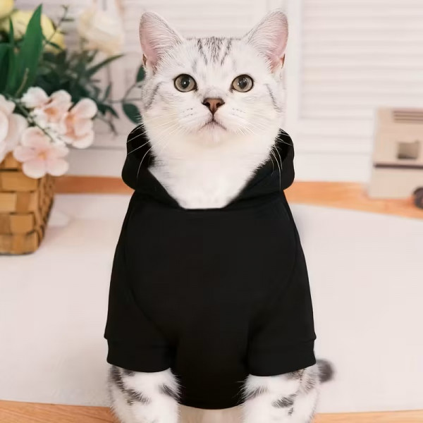 Winter Stylish Cats Hoodie