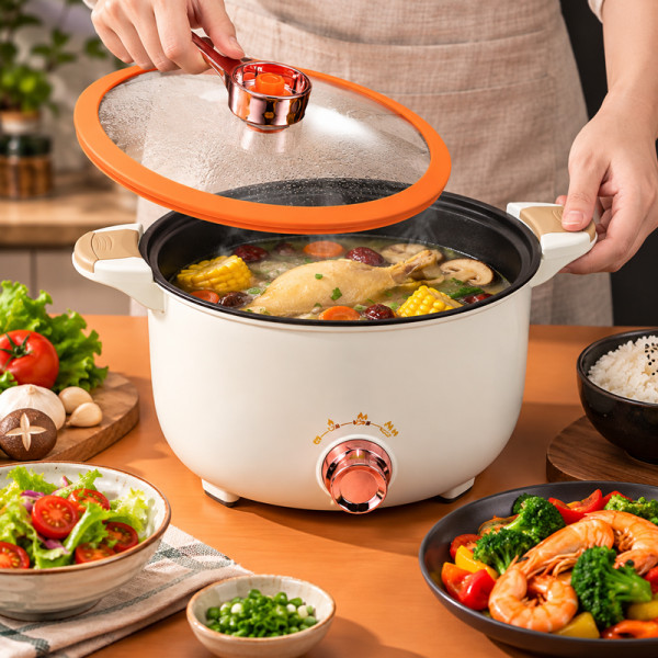 Electric Pressure Cooker 5.5 L (White)