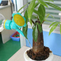 2 In 1 Home Garden Mini Watering Nozzle (Set of 2)