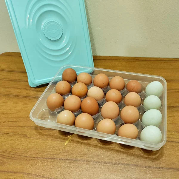 Egg Storage Box (24 Grids)