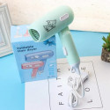 Fashion hair dryer