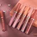 Handaiyan 6 pcs lipstick set