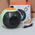 X-811 ওয়্যারলেস স্পিকার