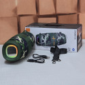 XTREME P192 Wireless Speaker