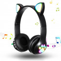 Cats ears headphone